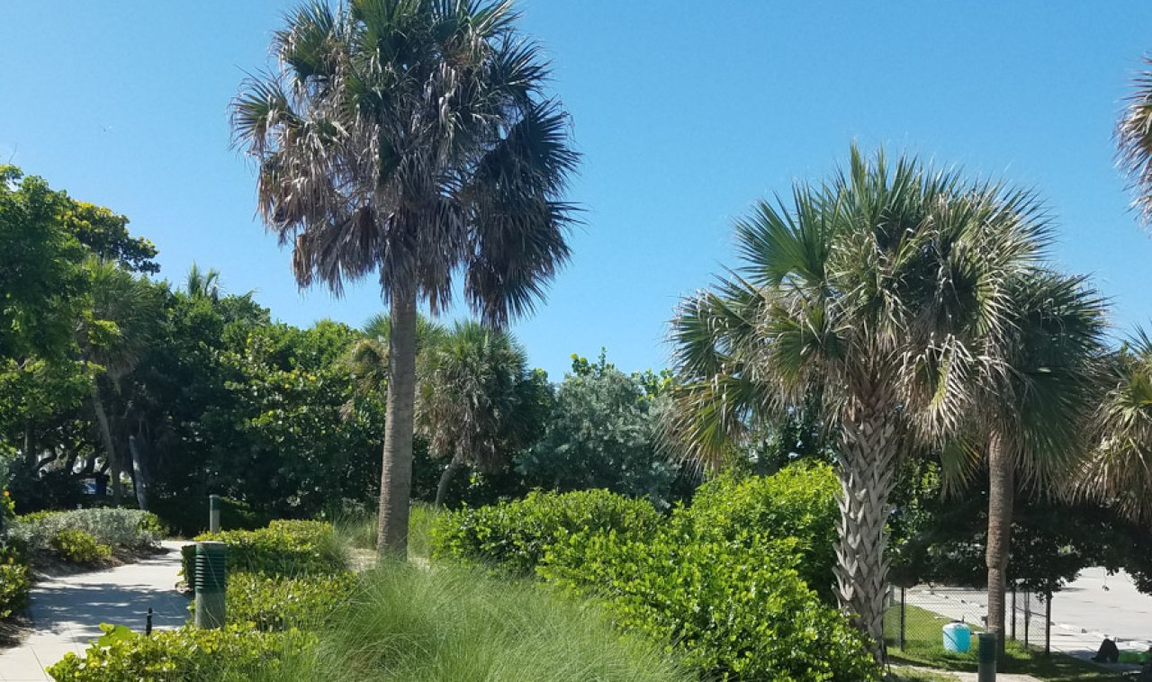 Trees and Landscaping.