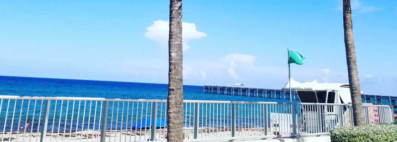 LIfeguard tower, with palm tree and fencing.